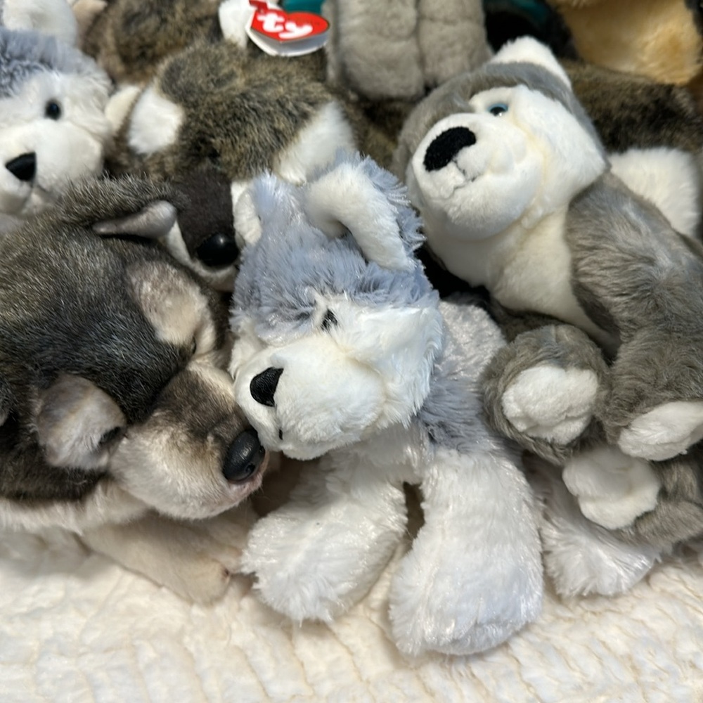 Husky Collection - Picture 5 of 5